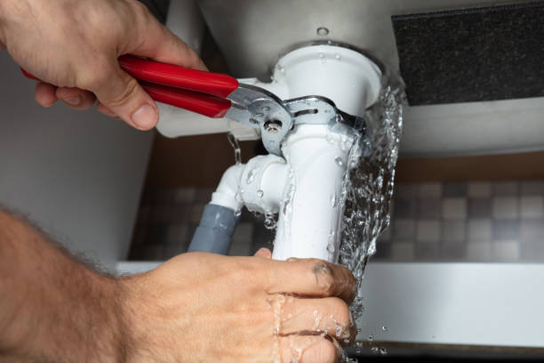 Best Water damage cleanup near me  in Versailles, IN