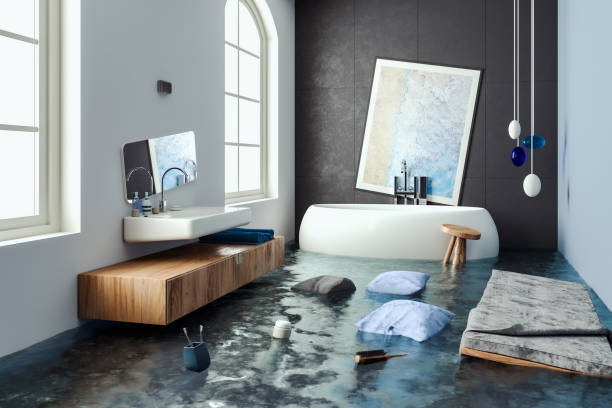 Best 24/7 water damage repair  in Versailles, IN