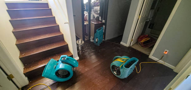 Best Water damage mitigation services  in Versailles, IN