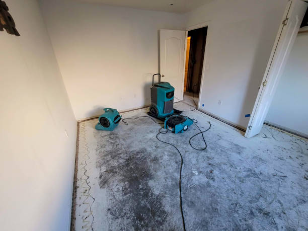 Best Flood damage cleanup  in Versailles, IN