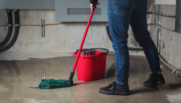 Best Mold removal after water damage  in Versailles, IN