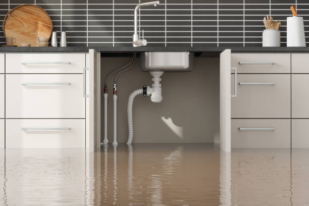 Best Mold removal after water damage  in Versailles, IN
